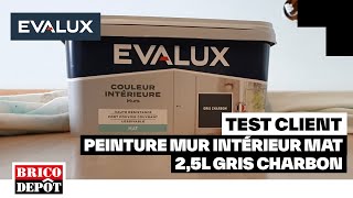 Peinture mur intérieur mat 25L gris charbon  EVALUX  Lavis dAmandine  Cliente Brico Dépôt [upl. by Irmgard421]