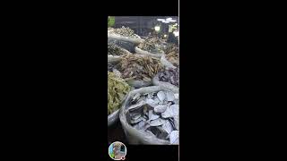 Rosalia Catud Vlog is liveMapagpalang Gabi sa lahatDried fish yummy [upl. by Suzanna]