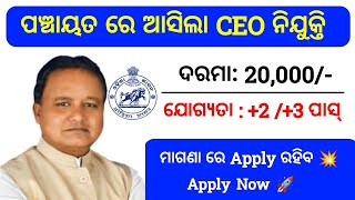 Odisha Panchayat Level CEO Recruitment 2024  Panchayat Level Job Vacancy [upl. by Aelak23]