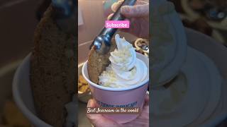 Best Icecream in the world youtube youtubeshorts subscribe tiktok icecream [upl. by Aenat]