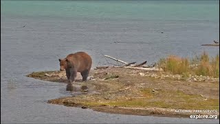 99 Returns  September 12 2024 exploreorg [upl. by Saks]