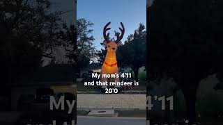 We bought a 20 foot reindeer [upl. by Brinkema]