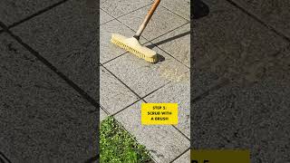 FILA Outdoor Porcelain amp Patio Cleaner How to Guide [upl. by Attesor191]