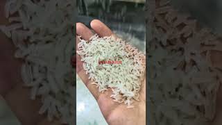 nutritional rice fast food rice making machine [upl. by Leonid]