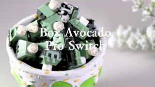 Box Avocado Pro Switch [upl. by Veriee213]