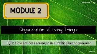 Module 2 Episode 1 Unicellular Colonial and Multicellular [upl. by Neenwahs179]