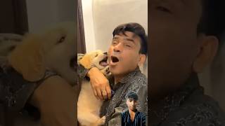 Leo ka baby 😁😁dog comedy funny [upl. by Luwana]