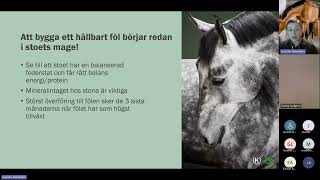 KRAFFT  Fodrets roll vid uppfödning av hållbara hästar [upl. by Flori932]