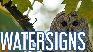 WATERSIGNS You are rebuilding your life and closing out cycles of unproductivity [upl. by Idoc]