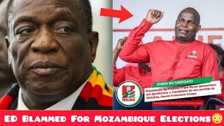 Mozambican Results Shock ED  No Democracy In SADC 😳 [upl. by Steffy607]