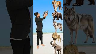 Will Animals To Wild Animals Name Talking shorts mmmrazz funny comedy [upl. by Imoyn828]