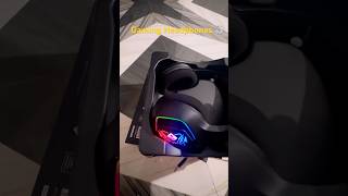 I Bought the Worlds Best Gaming Headphones [upl. by Mylo]