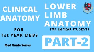 Lower Limb Clinical PART2  Human Clinical Anatomy [upl. by Francie691]