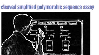 CAPS Cleaved Amplified Polymorphic sequence assay [upl. by Anis]