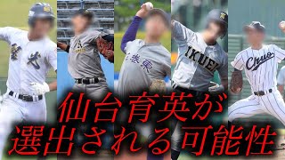 東北の選考予想【第97回選抜高校野球】 高校野球 甲子園 [upl. by Oiromed229]