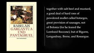 13 GARGANTUA AND PANTAGRUEL by Rabelais Audiobook  full length free [upl. by Diana262]