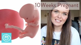 10 Weeks Pregnant What You Need To Know  Channel Mum [upl. by Brott]