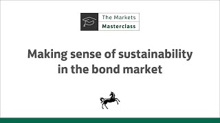 Making sense of sustainability in the bond market [upl. by Marsland265]