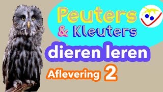 Dierennamen  Eerste Woordjes  Dieren Leren Aflevering 2 Peuters en Kleuters [upl. by Ellehsram]