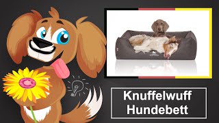 🐶 Knuffelwuff Hundebett – Einschätzung und Kaufratgeber [upl. by Rozalie]