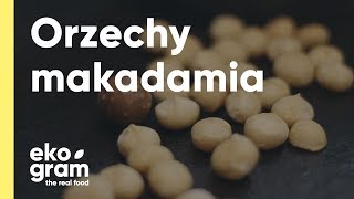 Orzechy makadamia  jak rozpoznać świeże [upl. by Onnem]