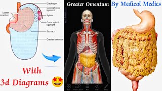 Greater Omentum Anatomy 3d  AttachmentsContents amp Functions  Peritoneum Anatomy  Medical Medics [upl. by Schaffer]