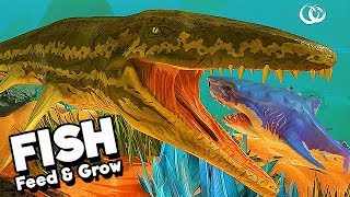 Feed and Grow Fish Gameplay German  Prognathodon Vs Megalodon [upl. by Aihsekel]