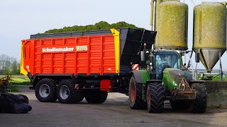 2024  Fendt  Volvo  Claas  Gras hakselen  Kuilwerk  Breure de Waard  Grass silage  Pit work [upl. by Jaala]