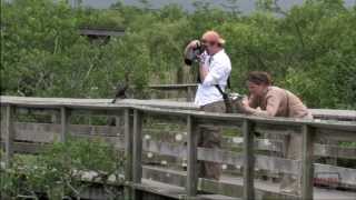 Everglades National Park 3minute Tour [upl. by Venice759]