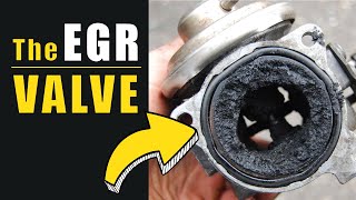 The EGR Valve  Remove or Install The New One [upl. by Isyed]