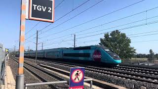 Spot en gare d’Avignon TGV TGV inouï duplex réseau OUIGO TER AGC regiolys… le 7 août 2024 [upl. by Bourgeois664]