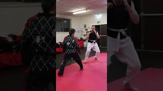 Introduction to Hapkido 2  Master Kwons Pro Tae Kwon Do Academy martialarts [upl. by Amlev127]