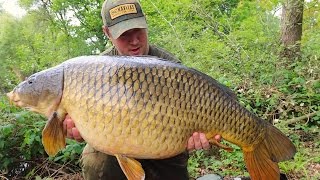 Yateley South Lake [upl. by Ahsia]