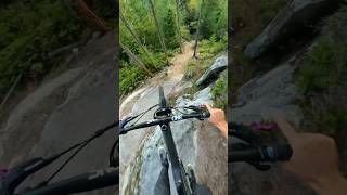 Riding the most difficult line in Mountain Bike Dream Land [upl. by Rowena]