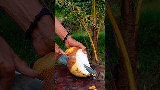 Amazingpeeling young coconuts asmr fruit satisfying [upl. by Etiuqram]