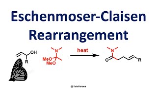 EschenmoserClaisen Rearrangement [upl. by Neggem888]