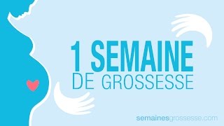 1 semaine de grossesse  Semaine 1 de grossesse  La grossesse semaine par semaine [upl. by Nelyak]