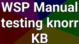 WSP system Knorr bremse manual testing [upl. by Mussman784]