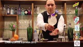 CAMPEÓN DE ESPAÑA 2015 DE GIN TONIC [upl. by Nnylirej]