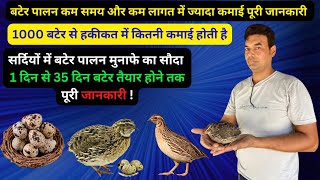 बटेर पालन 2024  How To Start Quail Farming Business  Bater Farming in India [upl. by Onairot]