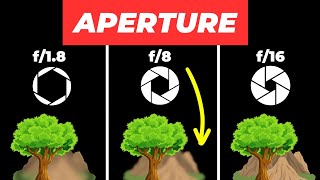 Understanding Aperture in Photography [upl. by Giffie881]