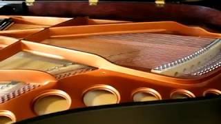 Bösendorfer 200 SSCS  Atlantic Music Center Demo [upl. by Ashwell]