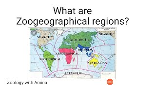 What are zoogeographical regions  How to draw zoogeographical regions map [upl. by Steele]