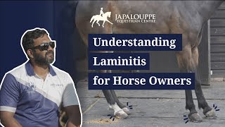 Understanding Laminitis for Horse Owners  What to expect and how to care for a laminitic case [upl. by Kramnhoj508]