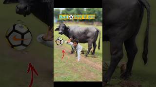 Ball⚽Ground में गिरने से बचाओ3😱🤯 comedy football [upl. by Ahtabbat]