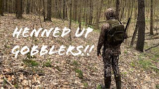 Simple Tips on Hunting Henned Up Gobblers🦃 [upl. by Atrebla]