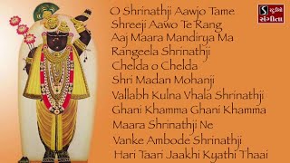 Shrinathji Satsang  11 Beautiful Songs  Hari Taari Zaakhi [upl. by Barri]