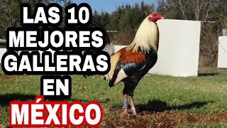 Las 10 mejores Galleras en México [upl. by Etnoved]