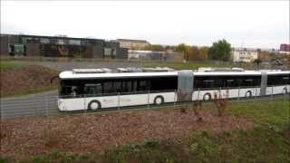 DD  AutoTram® gegen MB Citaro 23102013 [upl. by Pfaff]