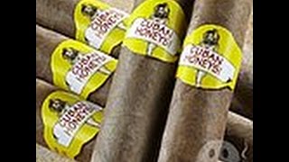 Quick Cigar Reviews Cuban Honeys [upl. by Lynelle359]